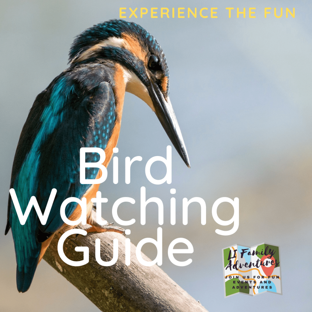 Bird Watching Guide